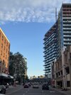 IMG_4452.jpeg