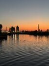 IMG_8212.jpeg