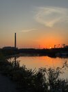 IMG_8267.jpeg