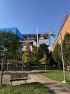 IMG_3948.jpeg
