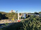 IMG_3722.jpeg