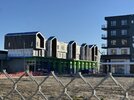 IMG_5256.jpeg