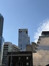 IMG_8230.jpeg