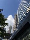 IMG_8223.jpeg