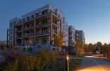 IMG_1650exp.jpg