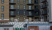 IMG_1443exp.jpg