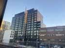 IMG_3876.jpeg
