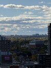 IMG_8304.jpeg