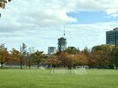 IMG_0367.jpeg