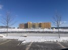IMG_1198.JPG