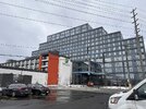 IMG_0426.jpeg