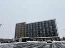 IMG_2317.jpeg