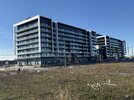 IMG_1175.jpeg