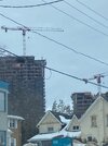 IMG_2782.jpeg