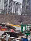 20260110_154734.jpg