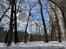 IMG_6890.jpeg