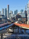 IMG_9229.jpeg