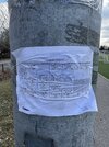 IMG_4997.jpeg
