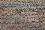 ctplace-114.jpg