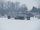 IMG_6630.jpeg