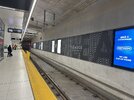 IMG_2472.jpeg
