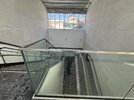 IMG_7492.jpeg