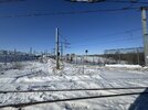IMG_7483.jpeg