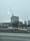 IMG_7460.jpeg