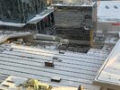 IMG_5366.jpeg