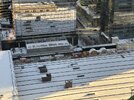 IMG_5365.jpeg