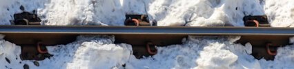IMG_9946.jpeg