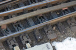 IMG_9948.jpeg