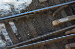 IMG_9949.jpeg