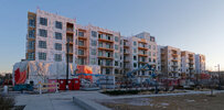 IMG_7140_7147exp.jpg