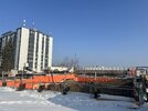 IMG_7301.jpeg