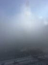 IMG_5503.jpeg