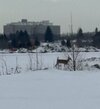 IMG_0140.jpeg