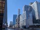 PXL_20260304_175115360.jpg