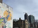IMG_0206.jpeg
