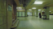 DSC00764.JPG