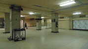 DSC00763.JPG