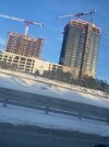 IMG_3605.jpeg