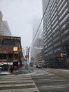 20260313_120625.jpg