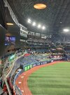 20260318_124736.jpg