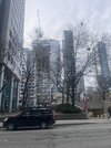 IMG_7844.jpeg