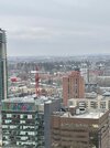 IMG_3736.jpeg