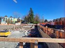 20260308_145607.jpg