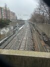 IMG_1647.jpeg