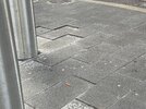 IMG_2715.jpeg