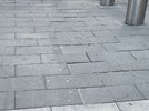 IMG_2786.jpeg